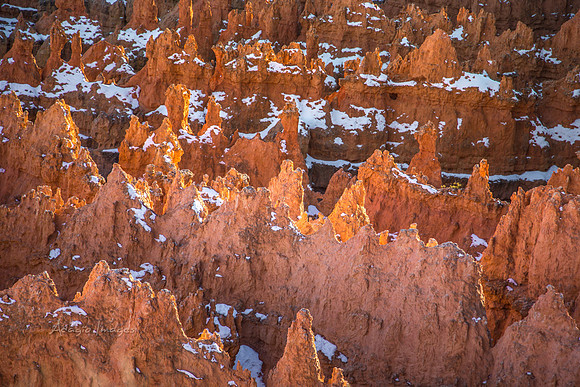 180302_Bryce Canyon_347