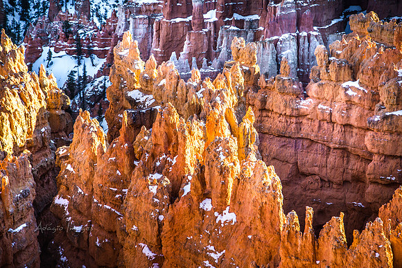 180302_Bryce Canyon_331