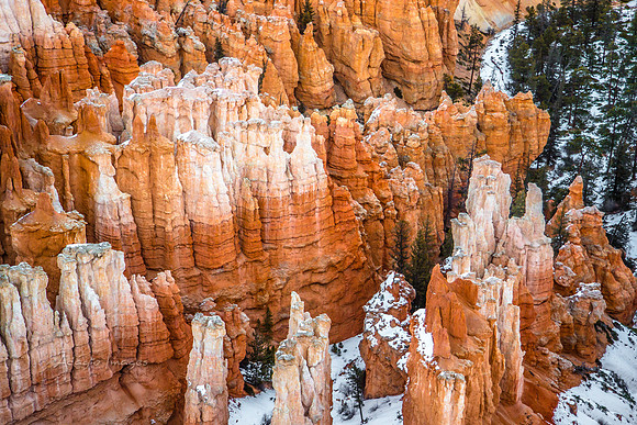 180302_Bryce Canyon_249