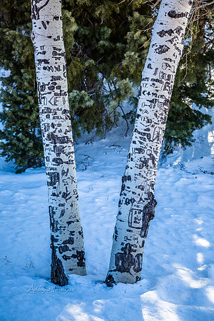 180302_Bryce Canyon_046