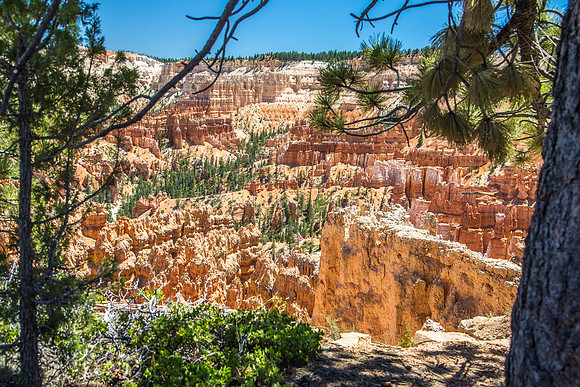 170616_Bryce Canyon_068