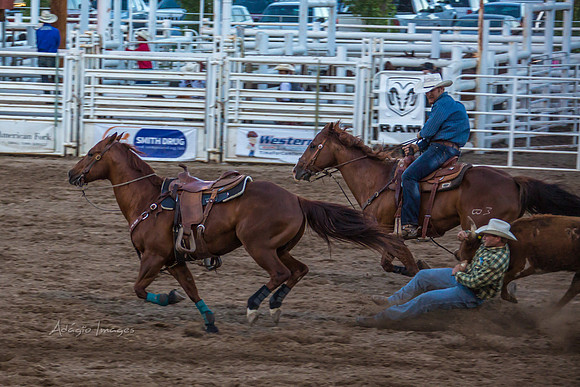180621_Rodeo_089