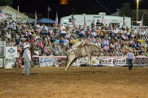 Dixie Roundup Rodeo 2013