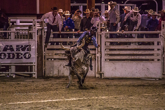 180621_Rodeo_591