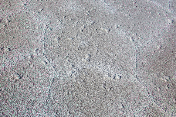 Bonneville Salt Flats
