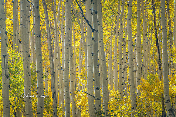 210926_Guardsman Pass_139