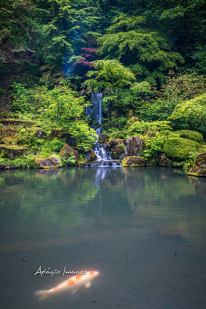 220619_a6400_1074