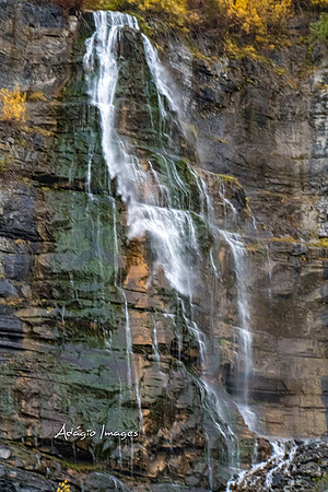 221022_Bridal Veil_030