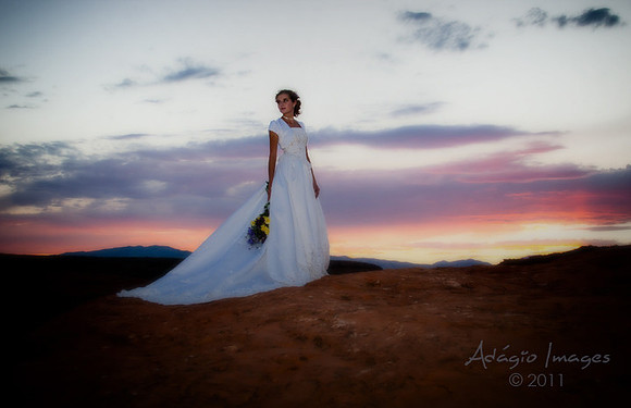 Brandilynn Bridals