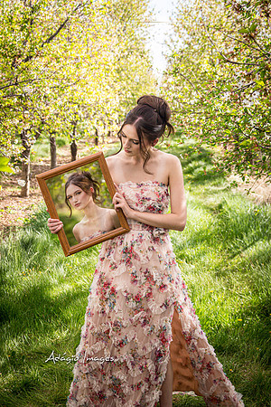 250503_Blossom_121-Edit