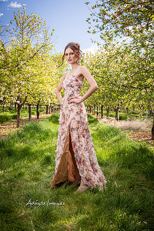 250503_Blossom_088