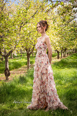 250503_Blossom_031