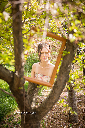 250503_Blossom_125