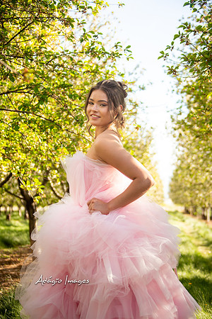 250503_Blossom_198