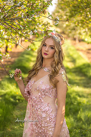 250503_Blossom_303