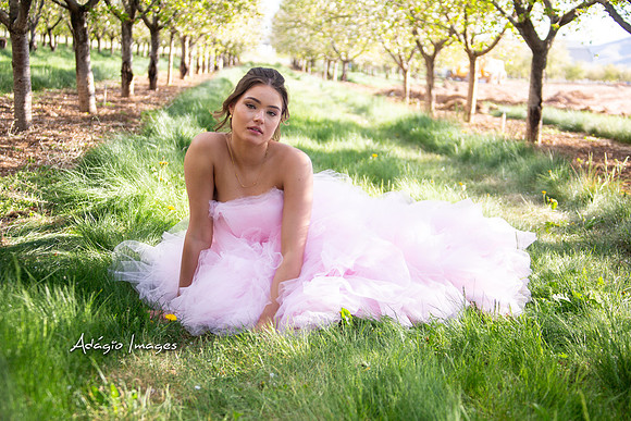 250503_Blossom_249