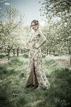 250503_Blossom_089