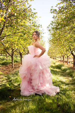 250503_Blossom_190