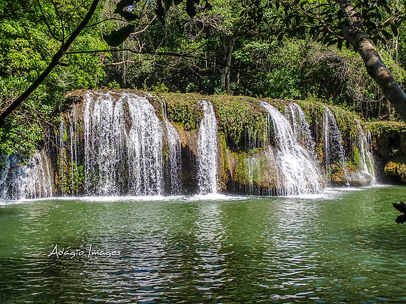 221108_Bonito M_036