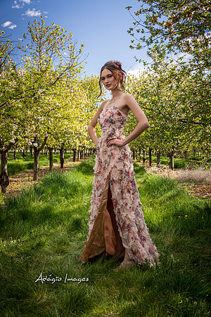 250503_Blossom_097