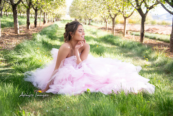 250503_Blossom_245
