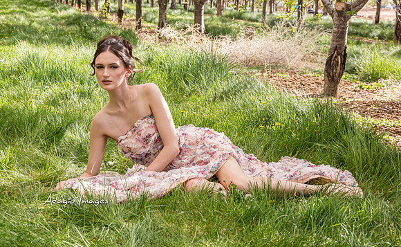 250503_Blossom_023