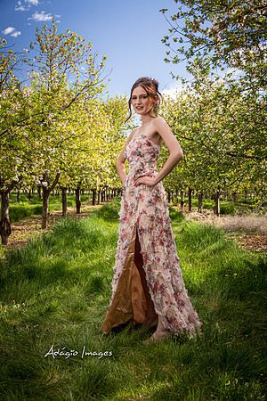 250503_Blossom_095