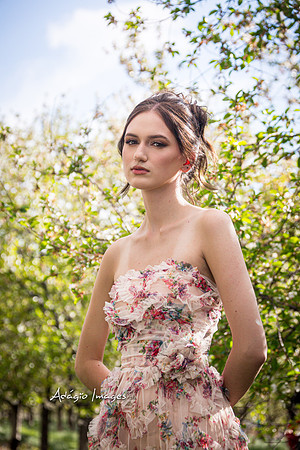 250503_Blossom_079