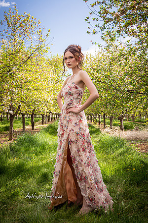 250503_Blossom_085