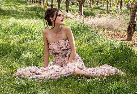 250503_Blossom_017