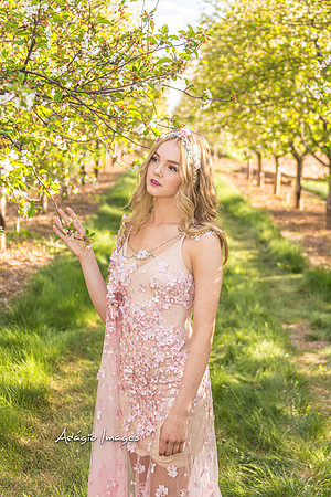 250503_Blossom_319