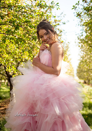 250503_Blossom_202