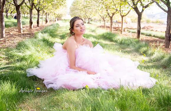 250503_Blossom_230
