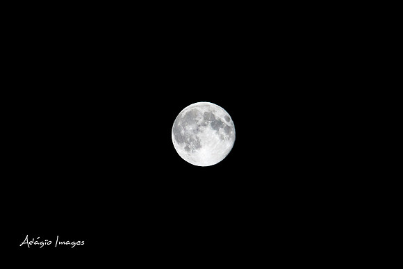 140810_FullMoonCabin_016
