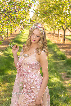 250503_Blossom_325
