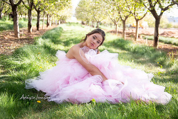 250503_Blossom_238
