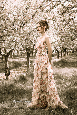 250503_Blossom_031-2