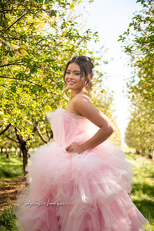 250503_Blossom_199