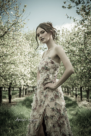 250503_Blossom_108