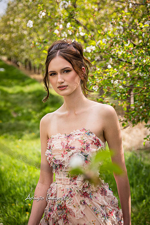 250503_Blossom_054