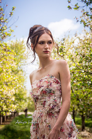 250503_Blossom_044