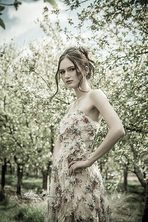 250503_Blossom_081