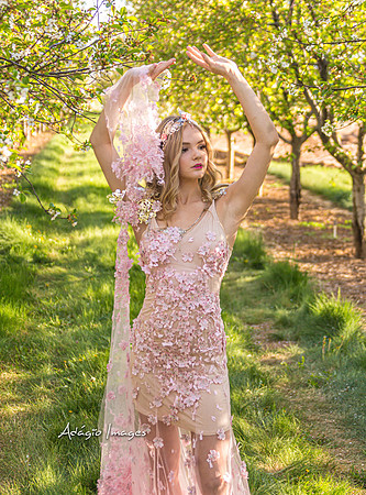 250503_Blossom_382