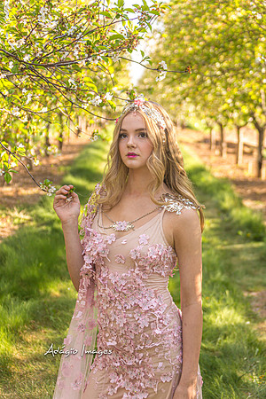 250503_Blossom_324