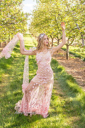 250503_Blossom_367