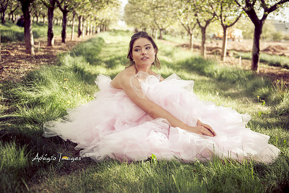 250503_Blossom_237