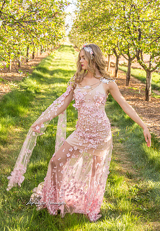 250503_Blossom_380
