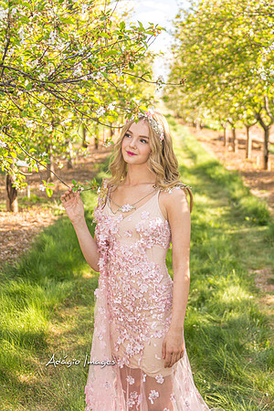 250503_Blossom_306