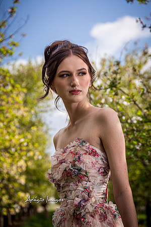 250503_Blossom_042