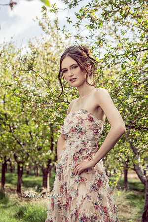 250503_Blossom_082